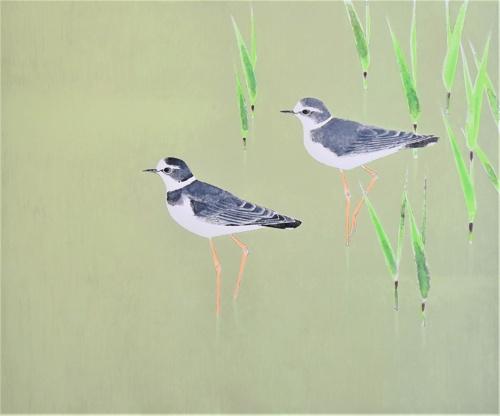 瑠璃鶲 | ｜正光画廊