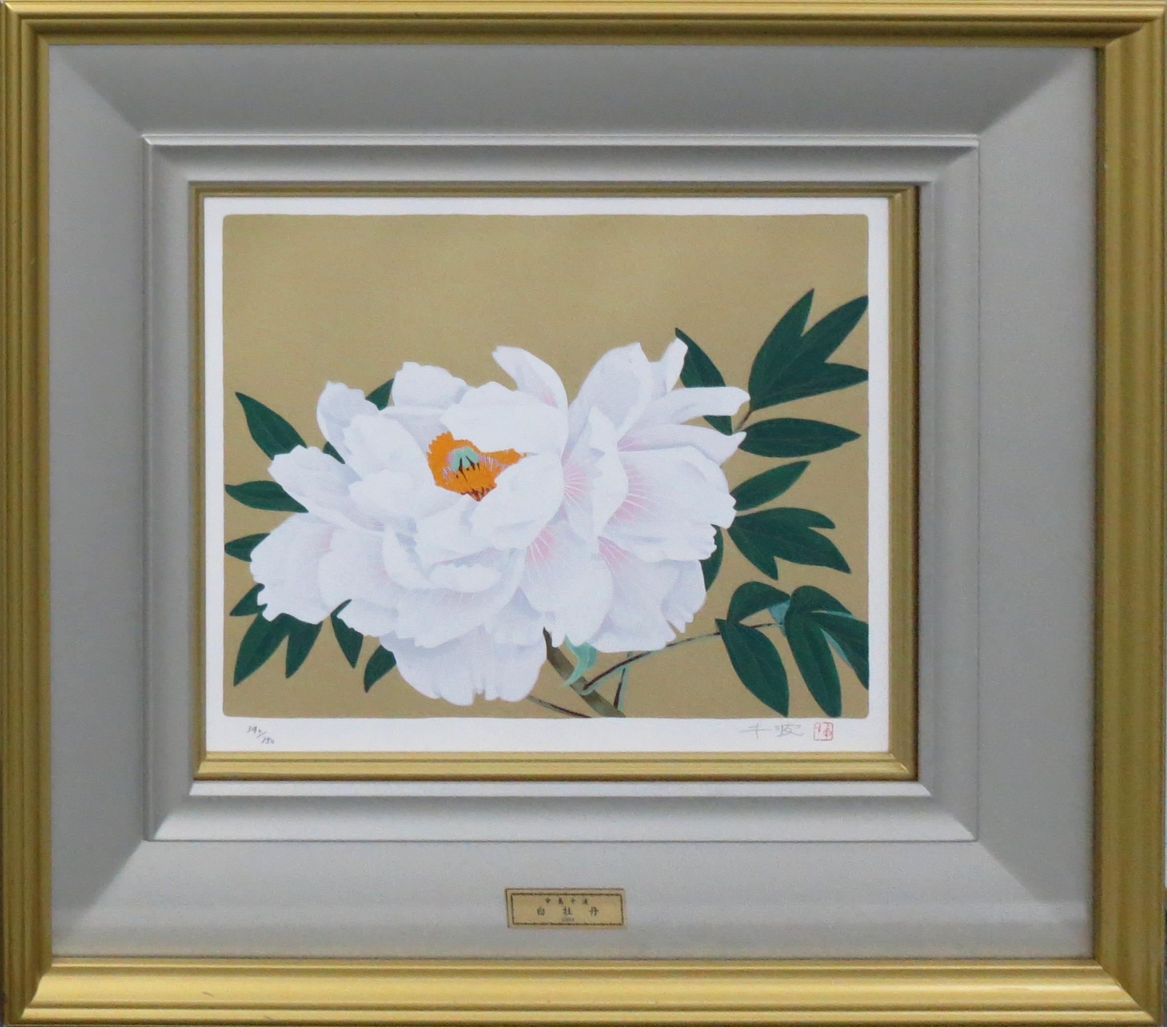 白牡丹 ｜正光画廊