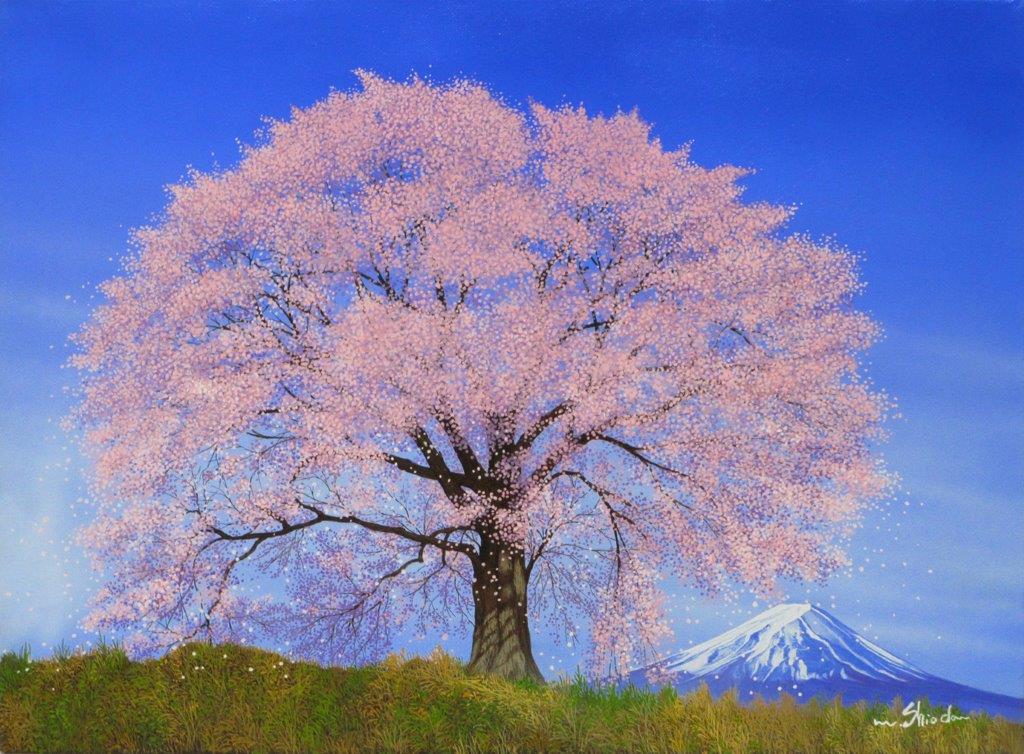 朝焼けの海 | ｜正光画廊