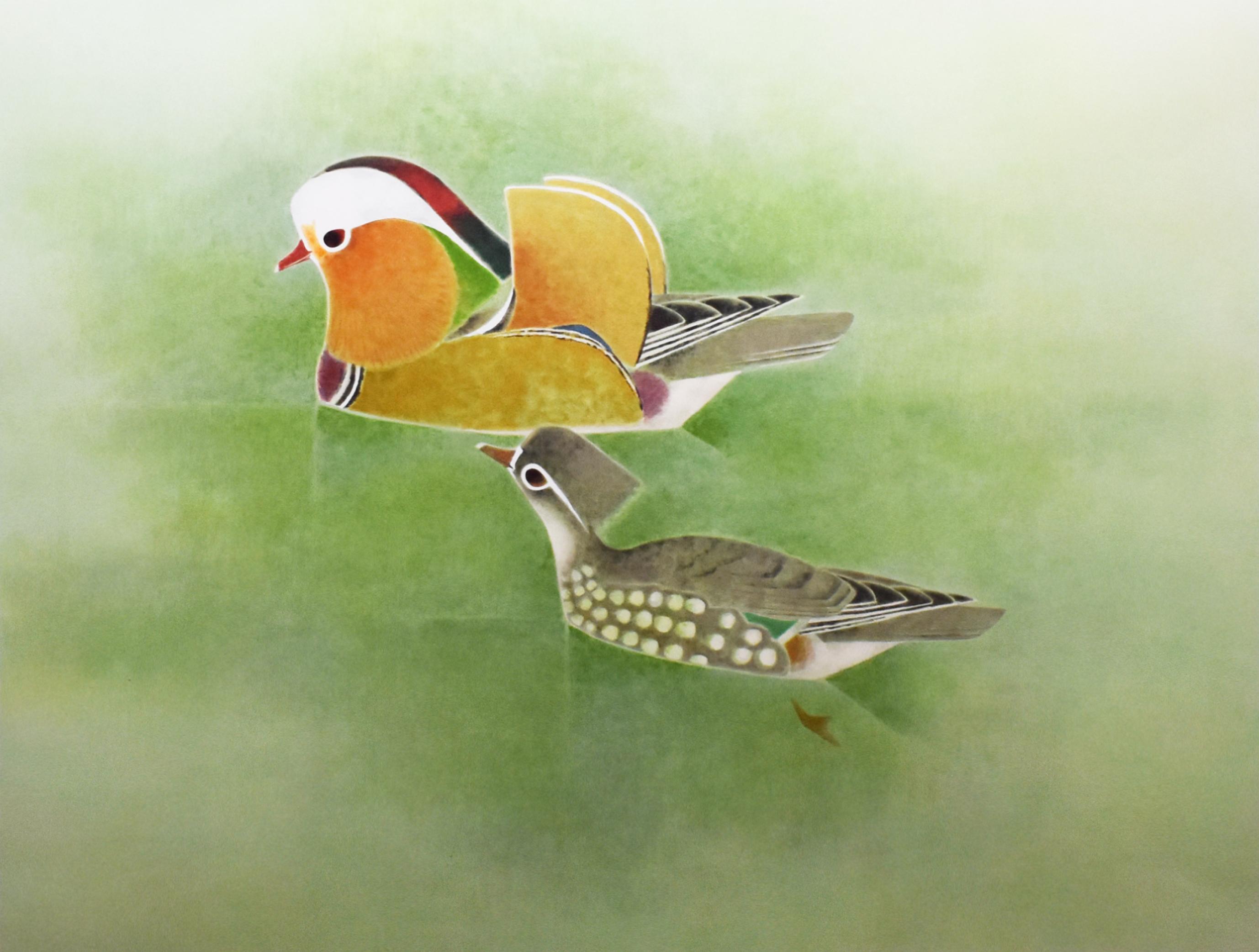 瑠璃鶲 | ｜正光画廊